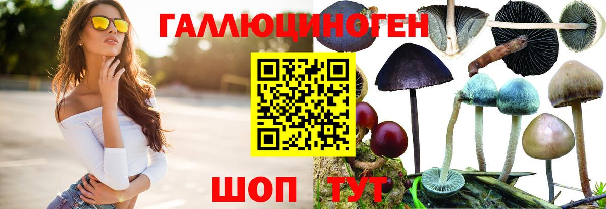 Галлюциногенные грибы прущие грибы Белебей