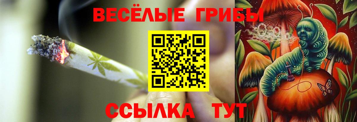 Галлюциногенные грибы мицелий  Вход с VPN  Белебей  Галлюциногенные грибы Psilocybine cubensis 